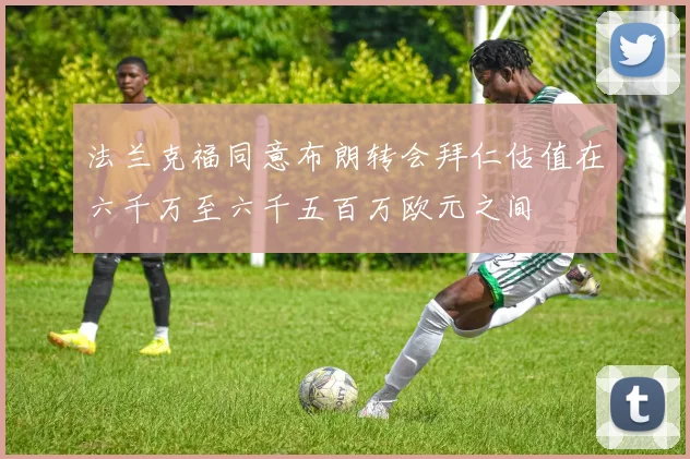 法兰克福同意布朗转会拜仁估值在六千万至六千五百万欧元之间
