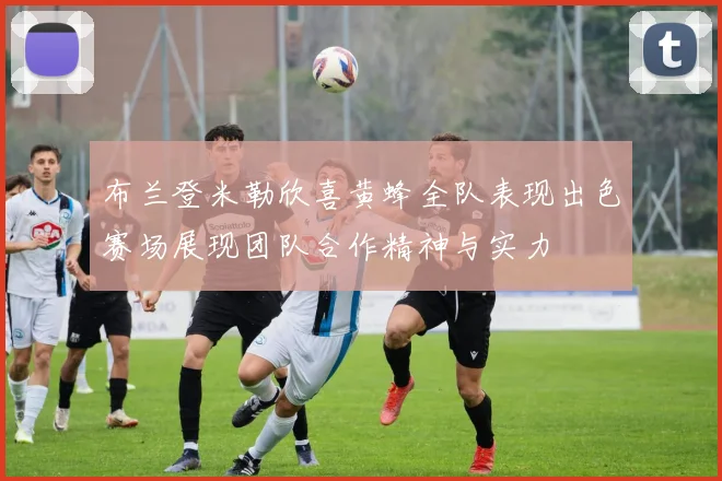 布兰登米勒欣喜黄蜂全队表现出色赛场展现团队合作精神与实力